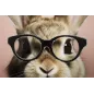 MALOWANY OBRAZ NA PÓŁNIE LACCATO BUNNY Z RAMĄ 62,5 2,8 62,5 cm